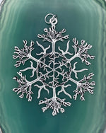 Family Tree SnowWonders® Snowflake Christmas ornament (JPEW6053) - Shop Palmers