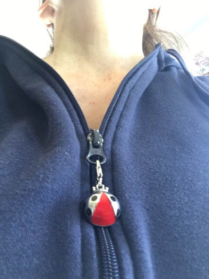 Lady Bug Zipper Pull