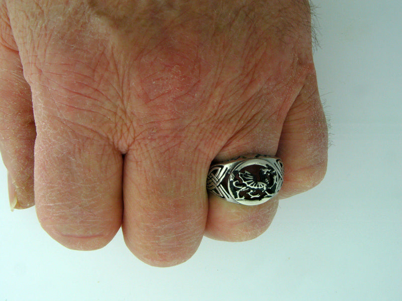 Men's 316L Stainless Steel Welsh Dragon Ring (S234)