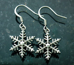 Stainless Steel Snowflake Earrings, (S218E)