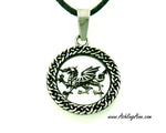 Welsh Dragon Stainless Steel Pendant/Necklace, s214